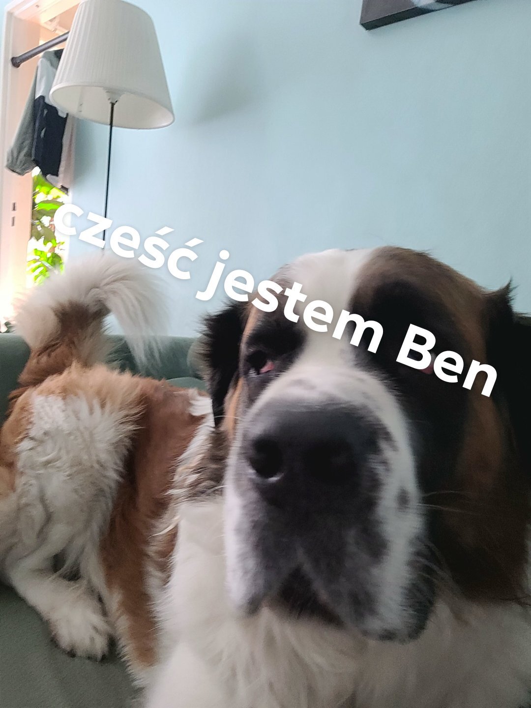 Zdjęcie 6