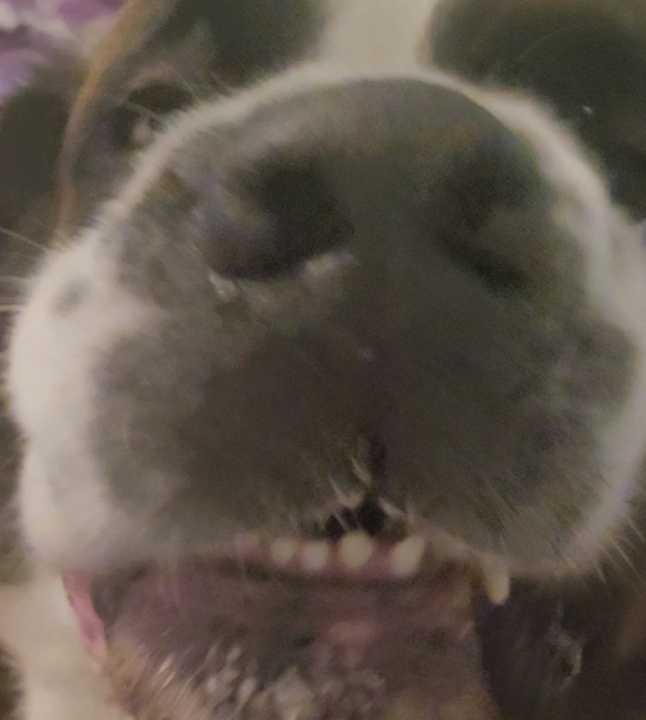 Zdjęcie 6