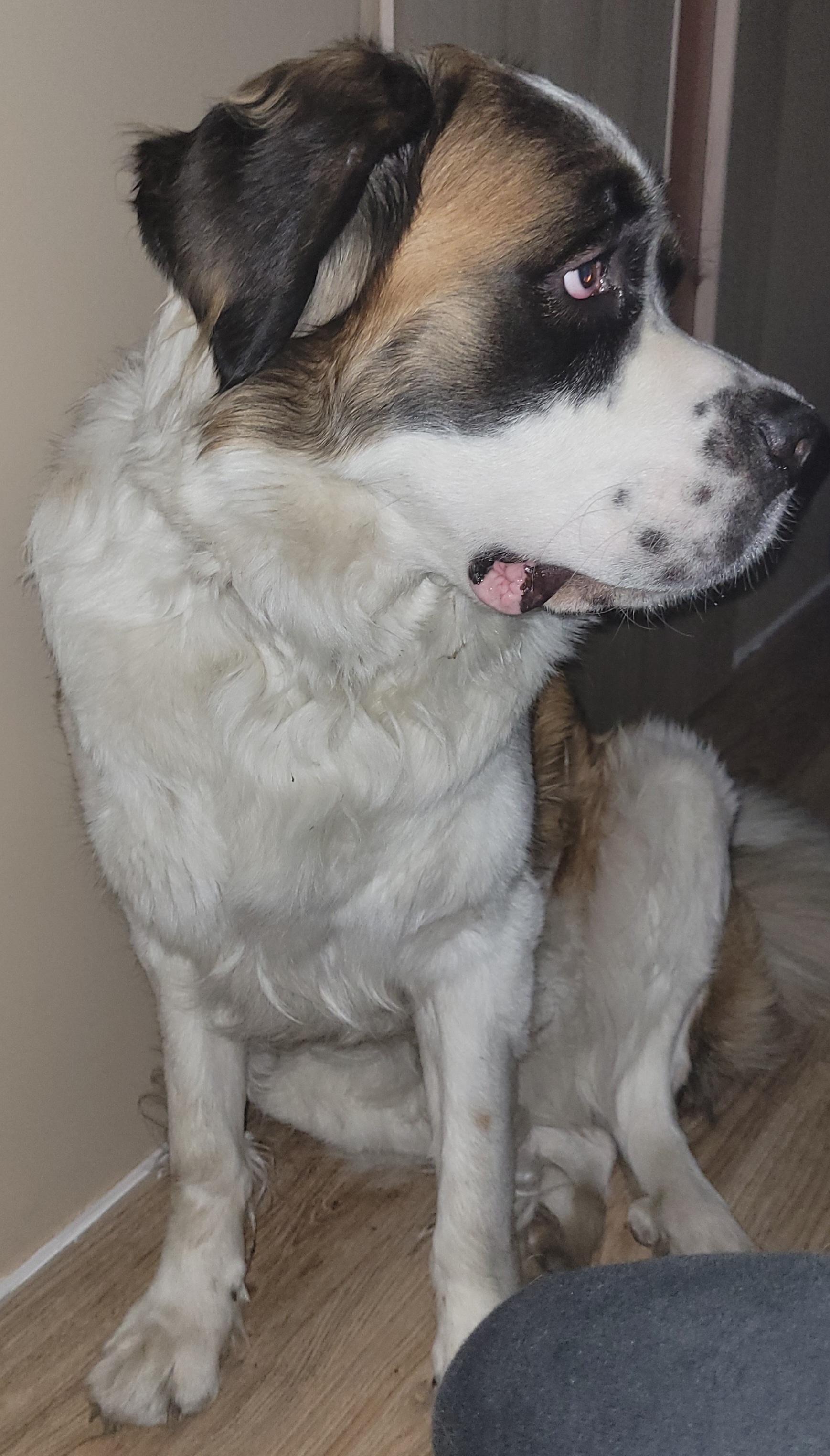 Zdjęcie 2