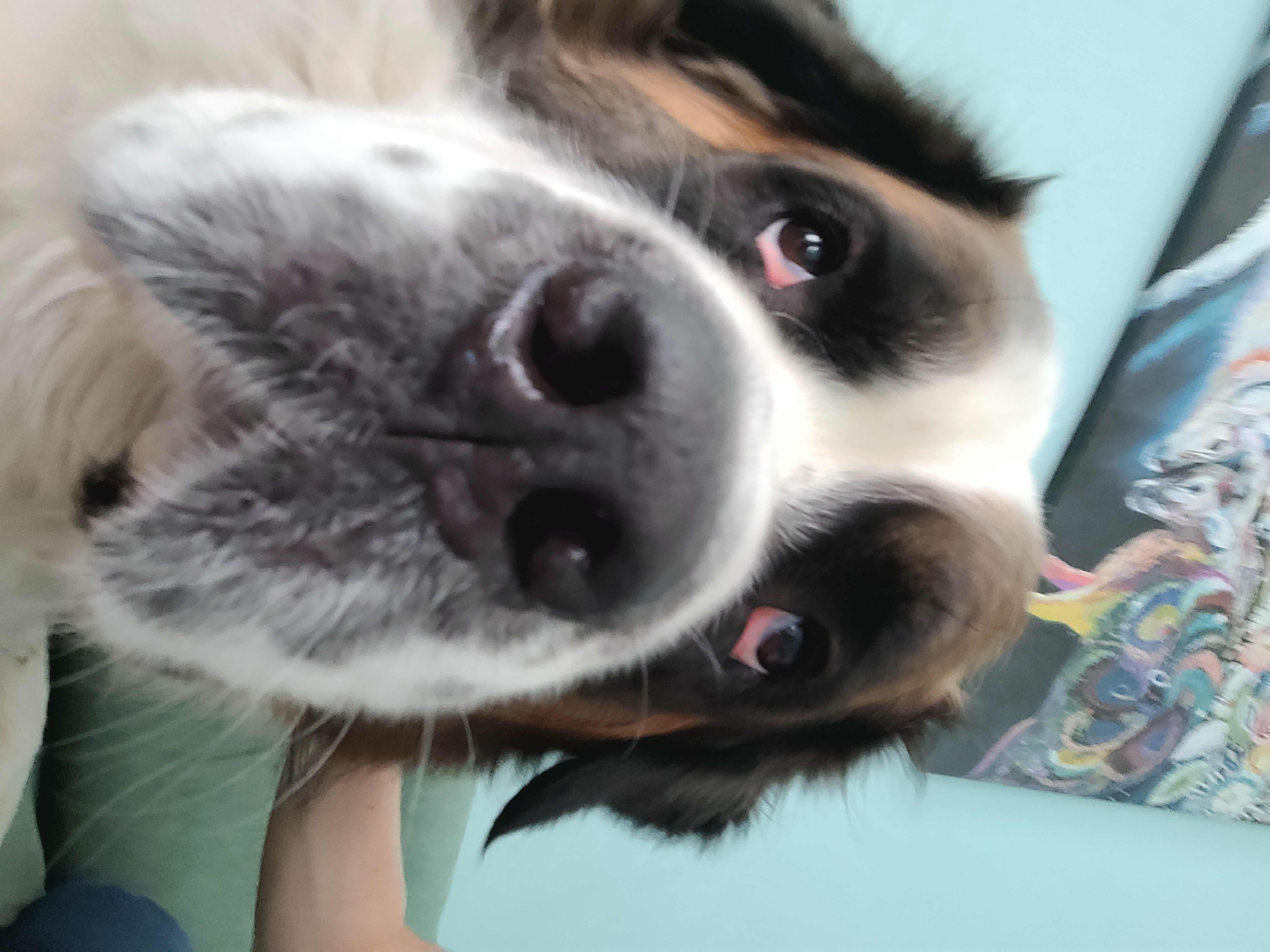 Zdjęcie 3