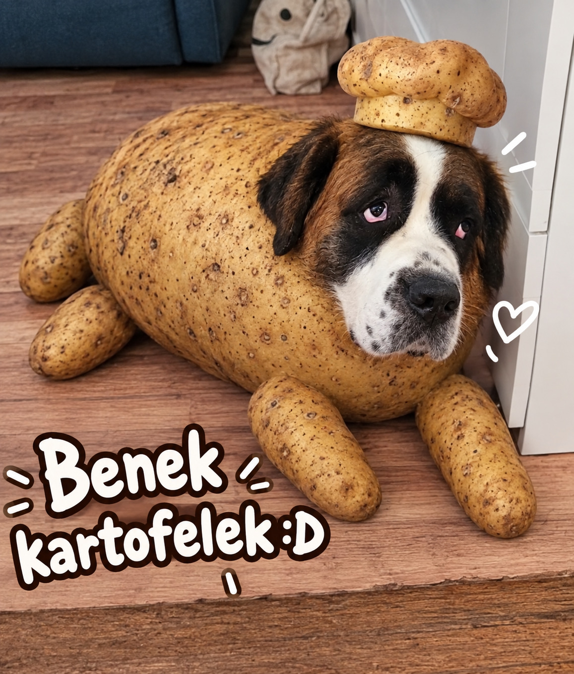 Zdjęcie 6